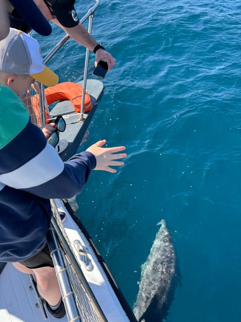 Estepona: Dolphins Searching Sea Cruise with Drink & Snacks - Who will enjoy this most
