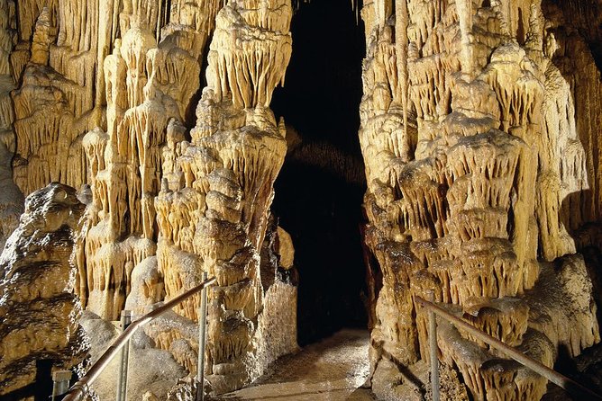 Explore Mallorca: Majorica Pearl Shop and Caves of Drach - Pickup details that deserve care