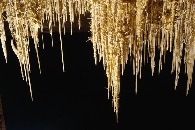 Explore Mallorca: Majorica Pearl Shop and Caves of Drach - Crowds, timing, and the real pace