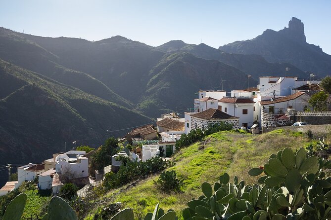 Firgas, Tejeda, Guayadeque - VIP Tour Gran Canaria - Guayadeque: cave homes in a deep ravine