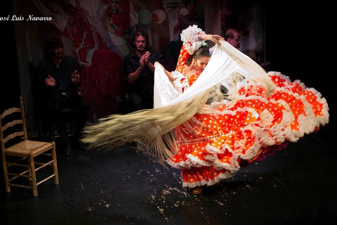 Flamenco Show Tickets to the Triana Flamenco Theater - The strongest part: music, emotion, and technical skill