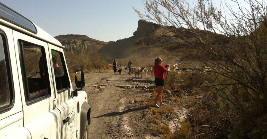 From Almeria: Tabernas Desert 4WD Joyriding Tour - Key points at a glance