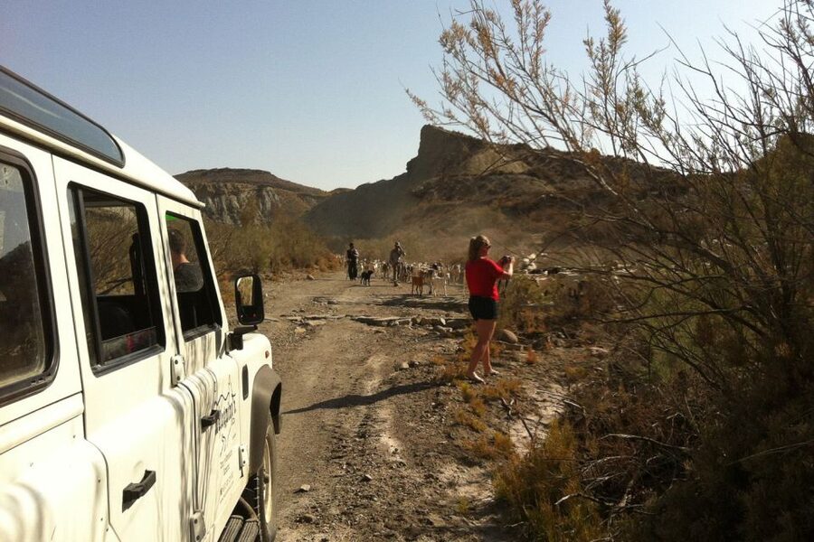 From Almeria: Tabernas Desert 4WD Joyriding Tour - Why Tabernas feels unlike the rest of Andalusia
