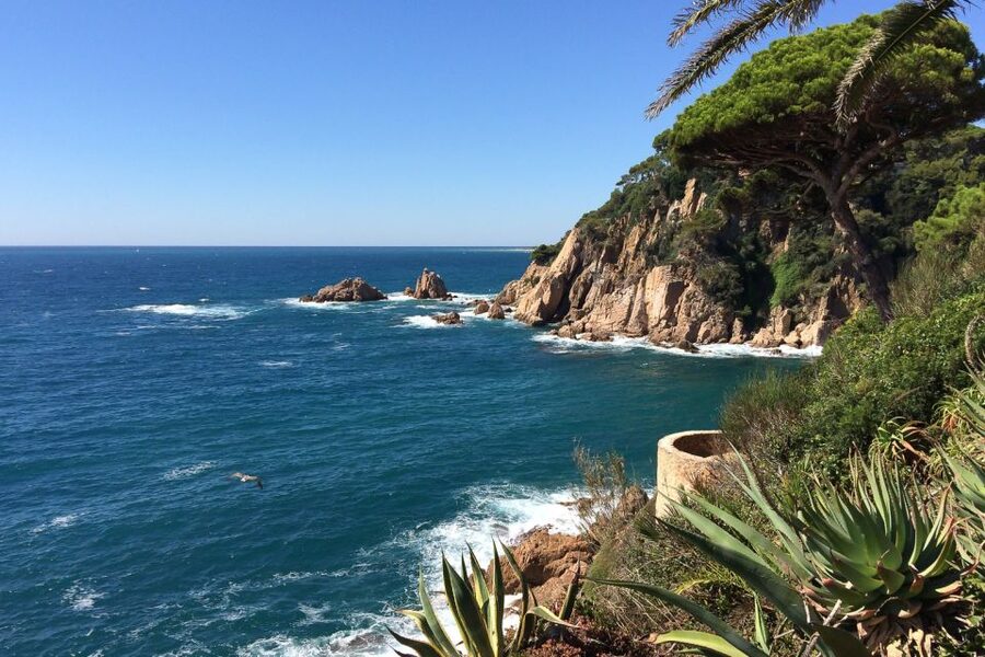 From Barcelona: Costa Brava Day Tour with Lunch - A secluded cove for swimming and a slower morning