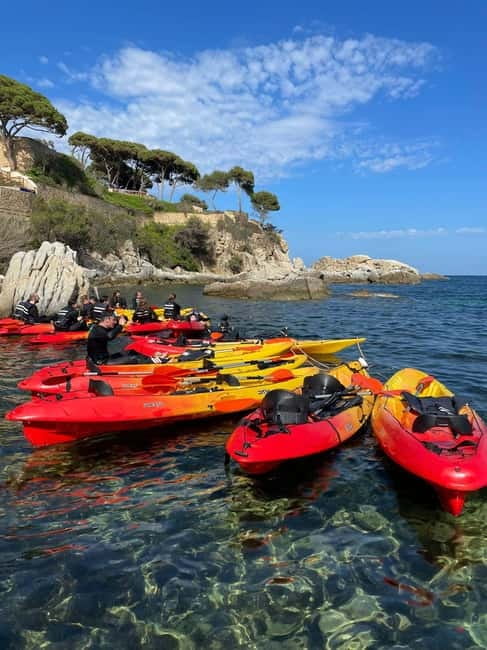 From Barcelona: Costa Brava Kayak & Snorkel Tour with Picnic - Snorkeling among fish, urchins, and coral