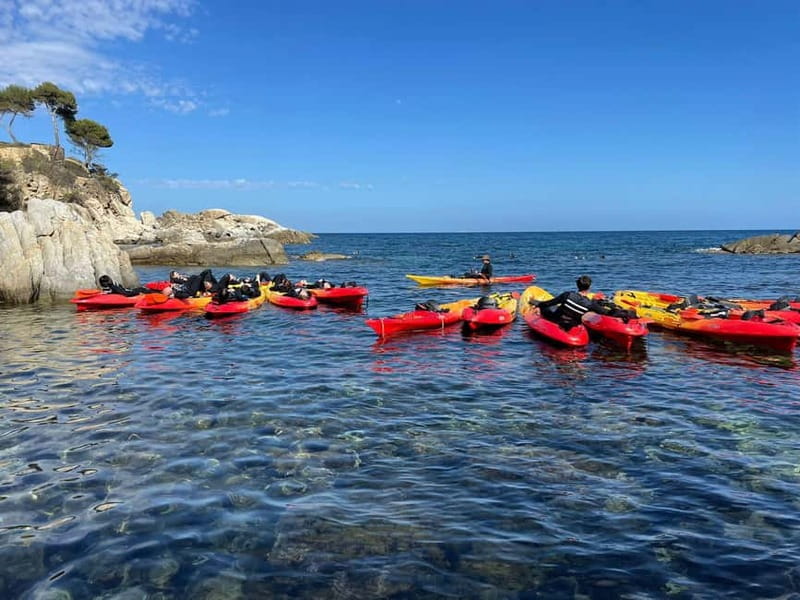 From Barcelona: Costa Brava Kayak & Snorkel Tour with Picnic - Practical tips for a smoother day