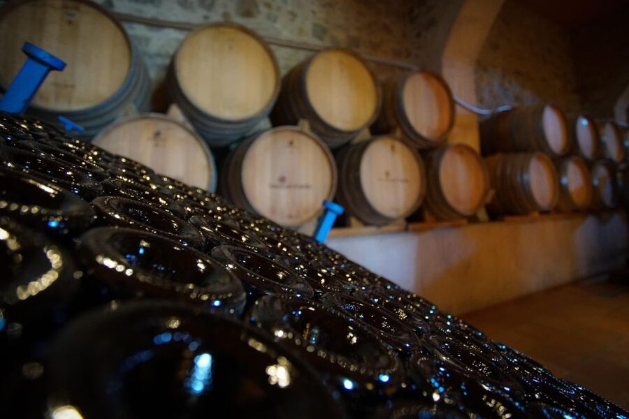 From Barcelona: E-Bike and Sailing Tour with Wine Tastings - Choosing the right transport option