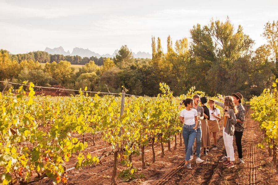 From Barcelona: Full-Day Montserrat & Wine Small Group Tour - Should you book it?