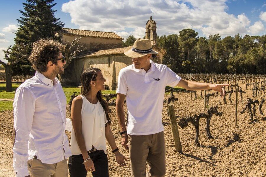From Barcelona: Penedés Vineyards Tour by 4WD w/Wine & Cava - Who Will Enjoy This Penedès Tour Most?