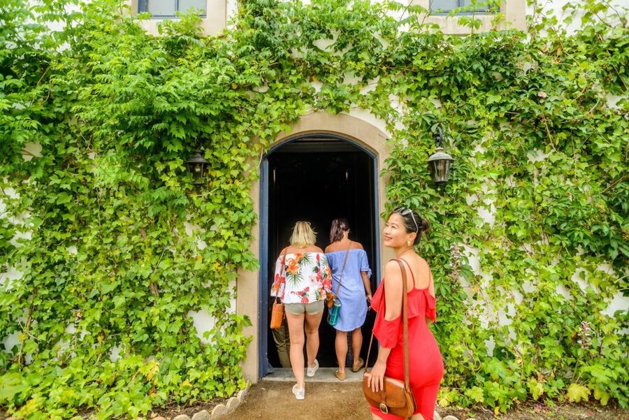 From Barcelona: Penedés Vineyards Tour by 4WD w/Wine & Cava - Seven Tastings, but Not a Full Lunch