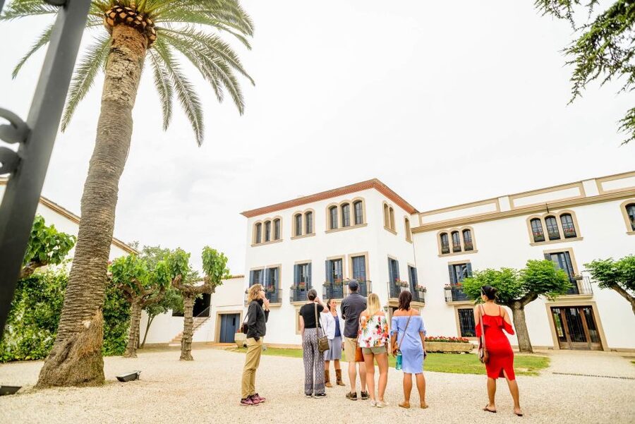 From Barcelona: Penedés Vineyards Tour by 4WD w/Wine & Cava - Is the $85 Price Fair?