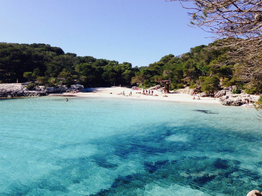 From Cala Galdana: 2-Hour Glass-Bottom Boat Trip - What this two-hour Menorca trip actually offers