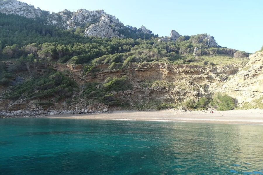 From Can Picafort: Dolphin Watching and Cave Boat Trip - Key points before you book