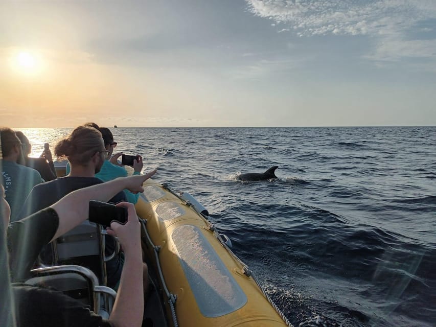 From Can Picafort: Dolphin Watching and Cave Boat Trip - What the ride feels like in real conditions