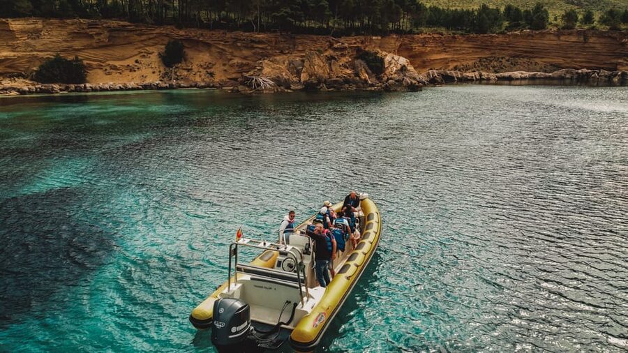 From Can Picafort: Dolphin Watching and Cave Boat Trip - Can Picafort meeting point and arrival advice