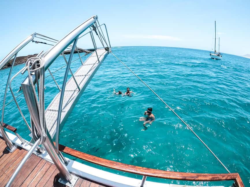 From Corralejo: Lobos Island Boat and Snorkel Activity - Key points at a glance