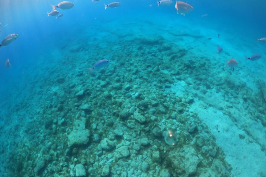 From Corralejo: Lobos Island Boat and Snorkel Activity - Who will enjoy this Lobos Island outing most