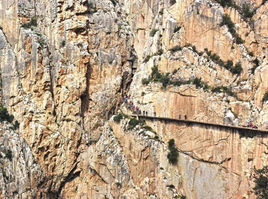 From Costa del Sol: Caminito del Rey Day Trip - Key points before you book