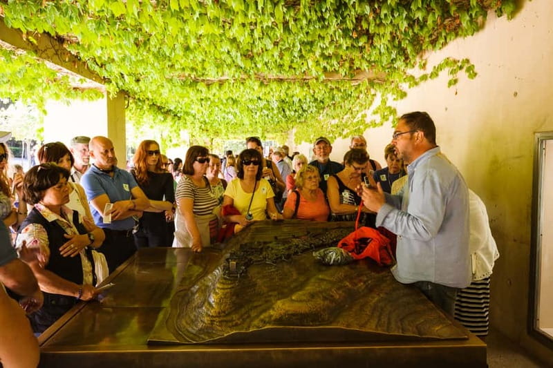 From Costa del Sol: Granada Full-Day Tour - Why Granada deserves a full day from the coast