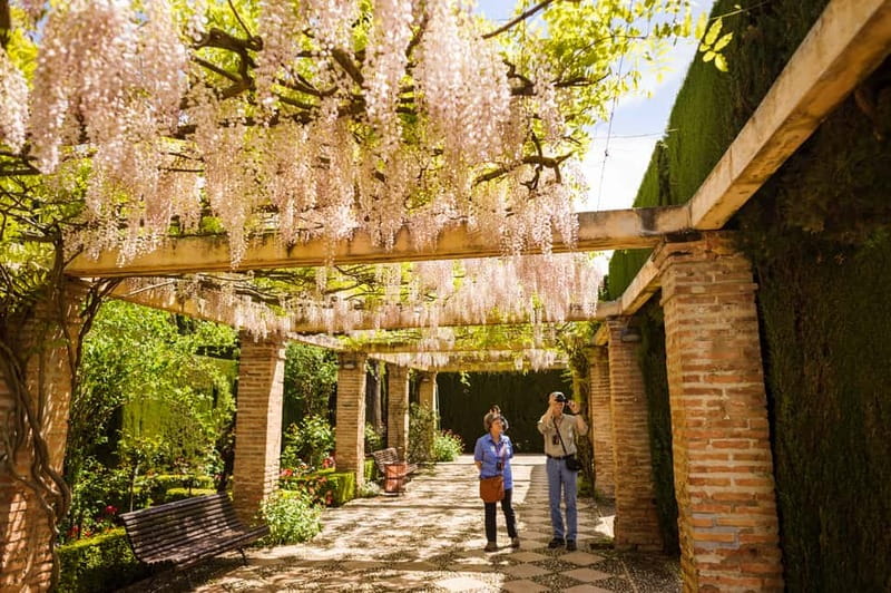 From Costa del Sol: Granada Full-Day Tour - The audio-guided choice gives you more breathing room