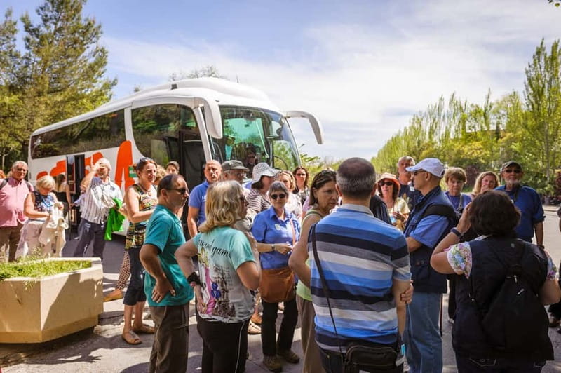 From Costa del Sol: Granada Full-Day Tour - The guided Alhambra option, best for first-time visitors