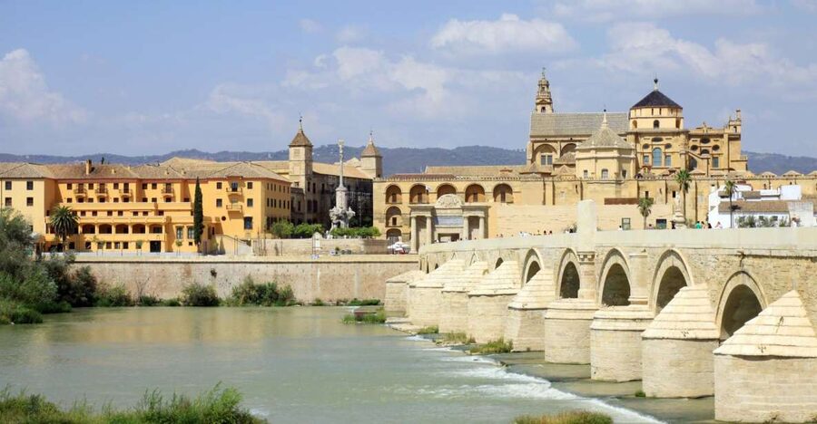 From Costa del Sol & Malaga: Cordoba Guided Day Tour - What the $108 price buys you