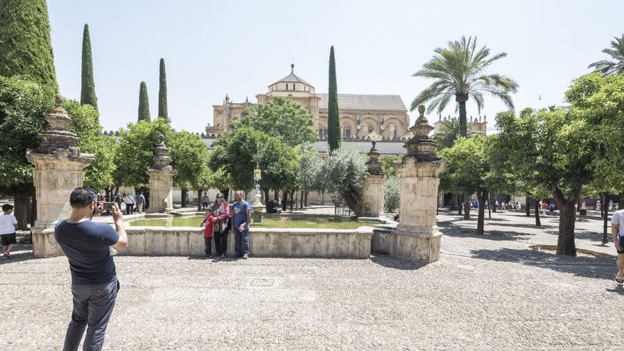 From Costa del Sol & Malaga: Cordoba Guided Day Tour - Who will enjoy this day trip