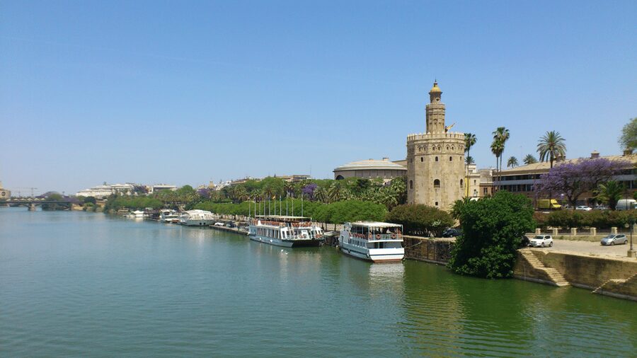 From Costa del Sol & Malaga: Seville Day Trip - The Cathedral and the Giralda option