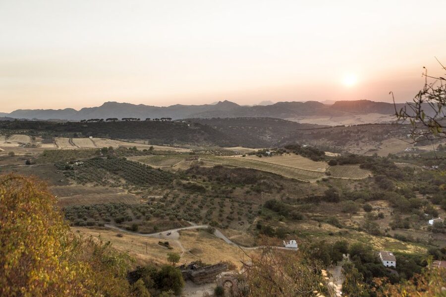 From Costa del Sol: Ronda Village Tour w/ Maestranza Ticket - Key points to know before booking