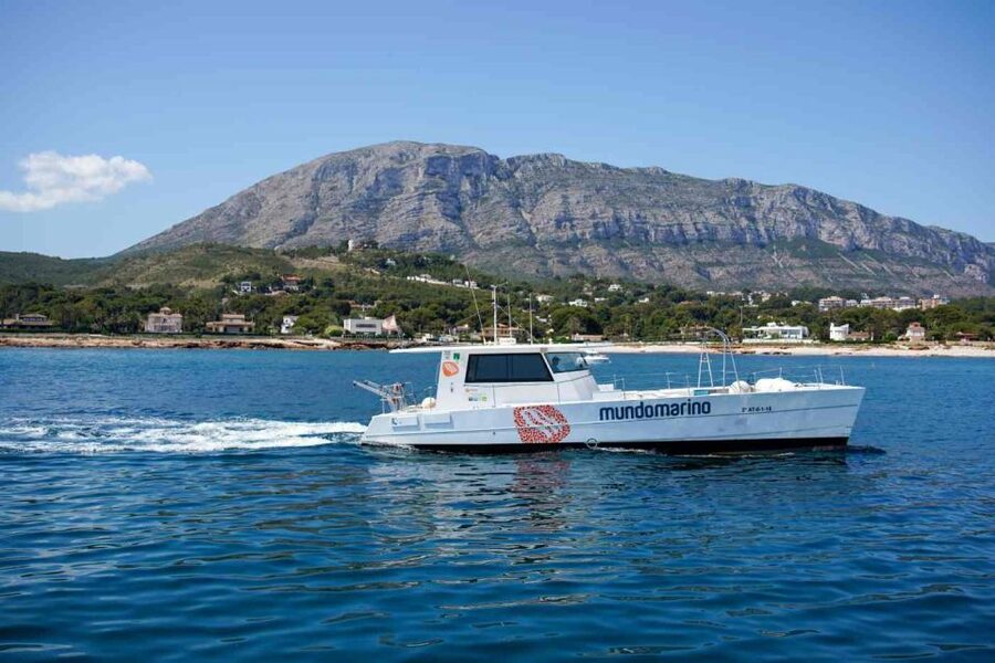 From Denia: Boat Trip to Tallada Cave with Optional Swim - The marine reserve and the possible swim