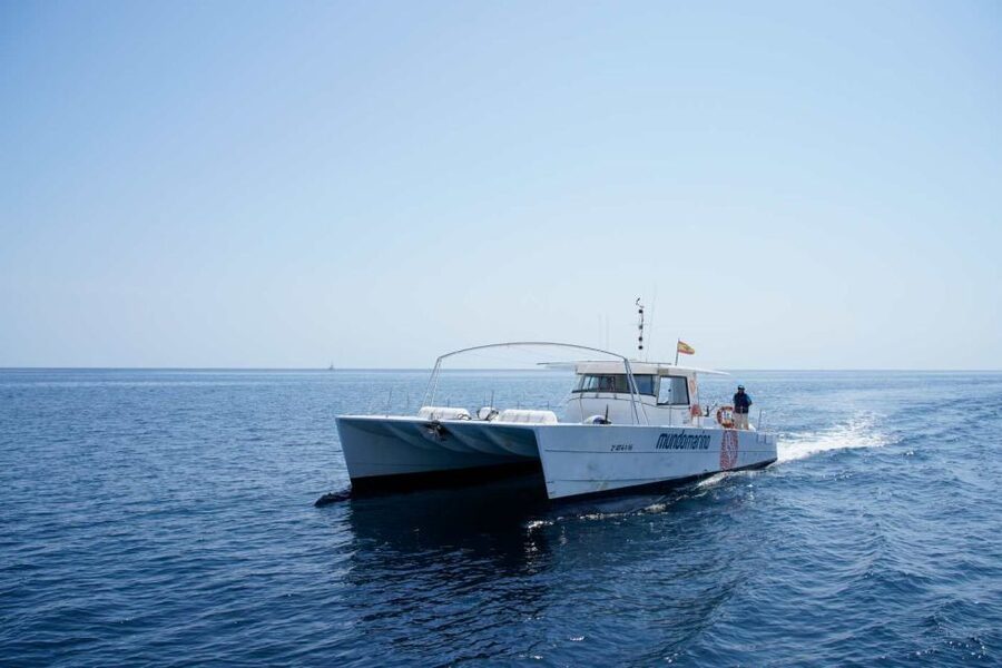 From Denia: Boat Trip to Tallada Cave with Optional Swim - Practical advice for a smoother outing