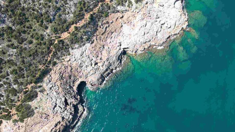From Denia: Boat Trip to Tallada Cave with Optional Swim - Who will enjoy this boat trip most?