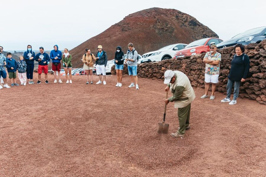 From Fuerteventura: Lanzarote Trip with Wine Tasting & Lunch - What the $164 price includes