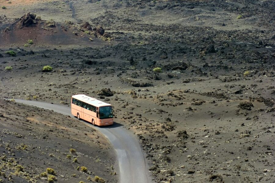From Fuerteventura: Lanzarote Volcano and Wine Region Tour - The aloe vera museum is useful, but expect a shop
