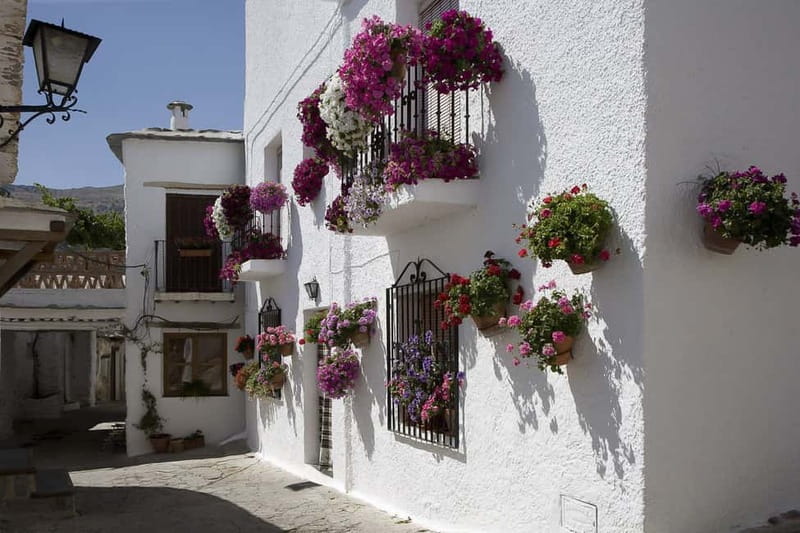 From Granada: Alpujarra Mountain Villages Tour - Lanjarón: Mineral Water and the First Mountain Stop