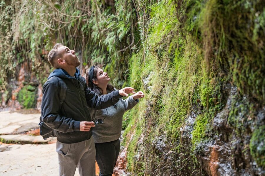 From Granada: Alpujarra Villages Guided Day Tour - Why the Alpujarra makes a fine day outside Granada