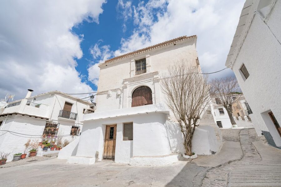 From Granada: Alpujarra Villages Guided Day Tour - The van ride, group size, and timing