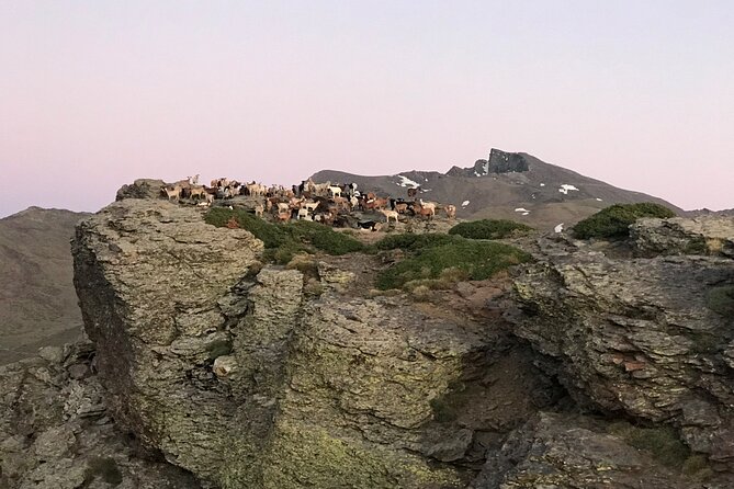 From Granada: Sierra Nevada Safari tour up to 2500 meters high - From Plaza de Mariana Pineda to the high Sierra