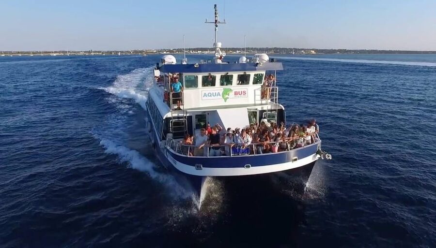 From Ibiza: Same-Day 2-Way Ferry Ticket to Formentera - Who should book this ferry?