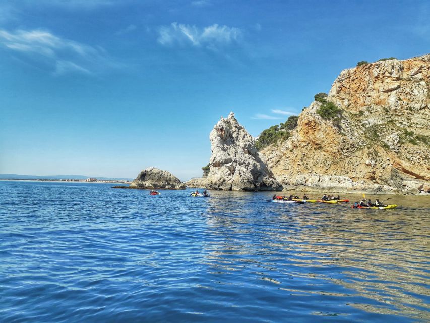 From L'Estartit: Sea Kayaking Tour to the Medes Islands - The swim and marine life stop