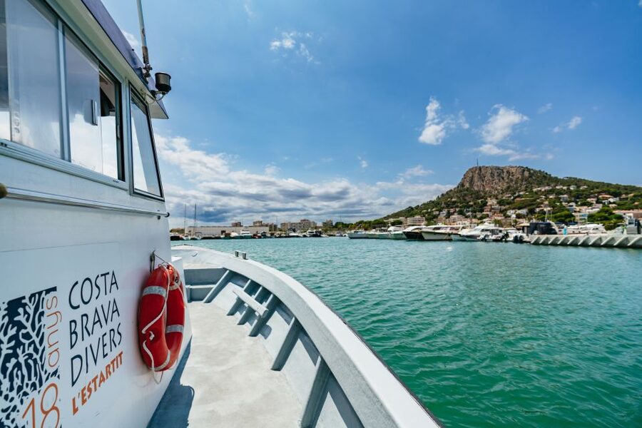 From L’Estartit: Snorkeling Trip to the Medes Islands - Fifty minutes among fish and marine plants