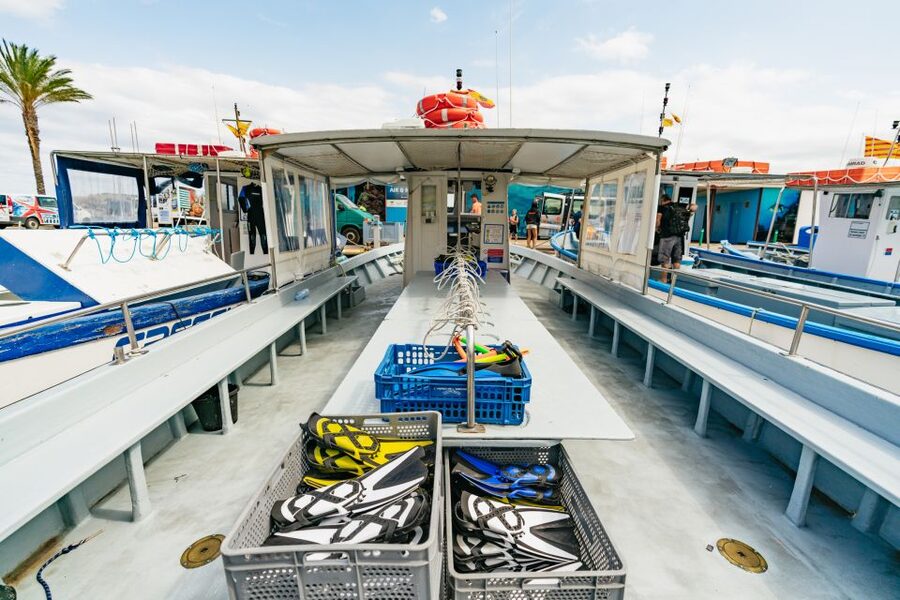 From L’Estartit: Snorkeling Trip to the Medes Islands - A short cruise around the Medes Islands