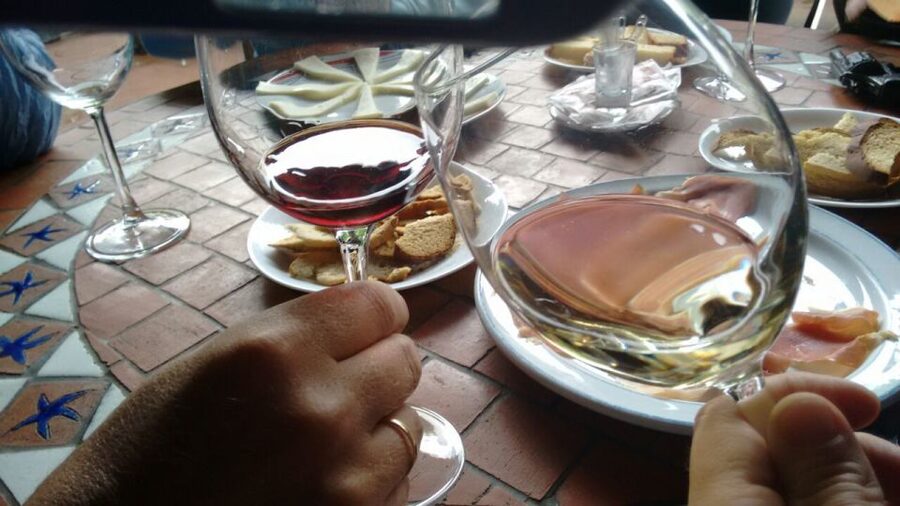 From Las Palmas: Full-Day Tour of the North - Agaete and coffee from the Berrazales Valley