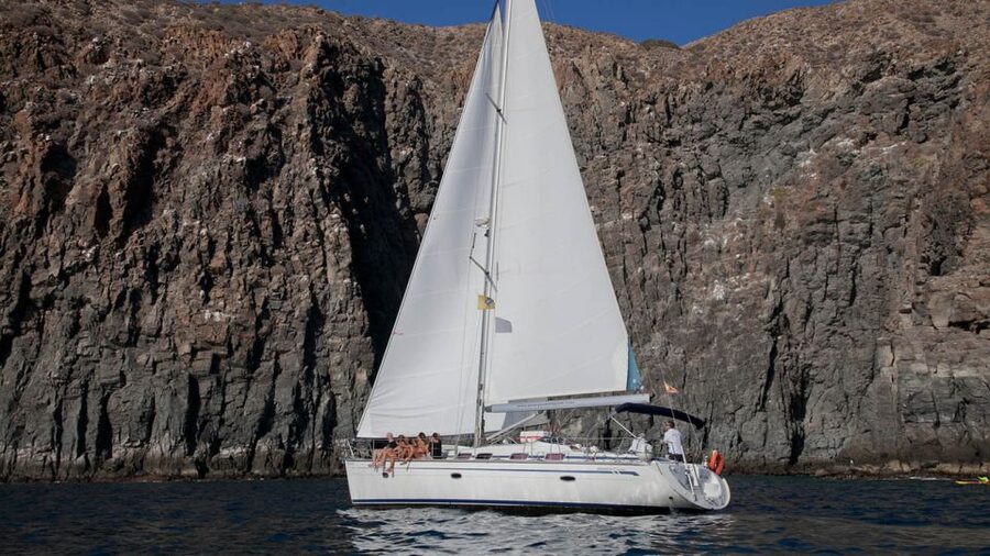 From Los Gigantes: Whale Watching Sailboat Cruise - Should you book Picarus Sailing Club?