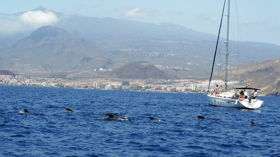 From Los Gigantes: Whale Watching Sailboat Cruise - Setting out from Los Gigantes