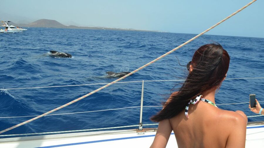 From Los Gigantes: Whale Watching Sailboat Cruise - The important drawback: motion on the sea
