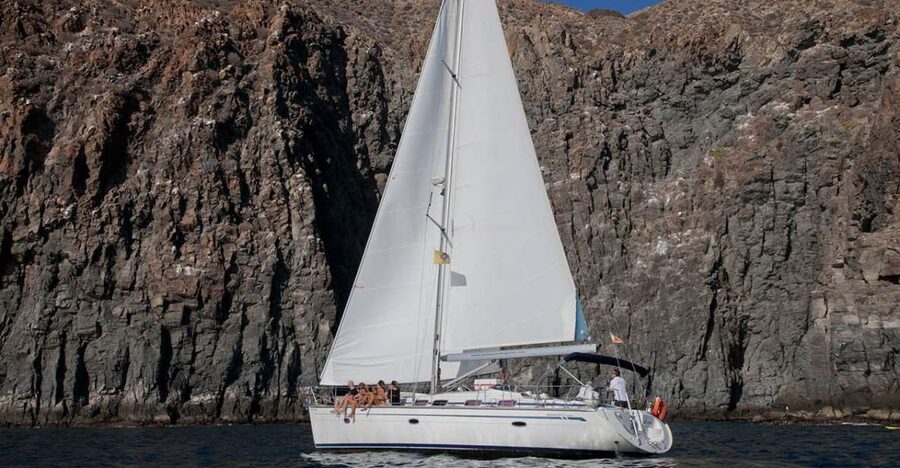 From Los Gigantes: Whale Watching Sailboat Cruise - Whale watching in Tenerife’s coastal waters