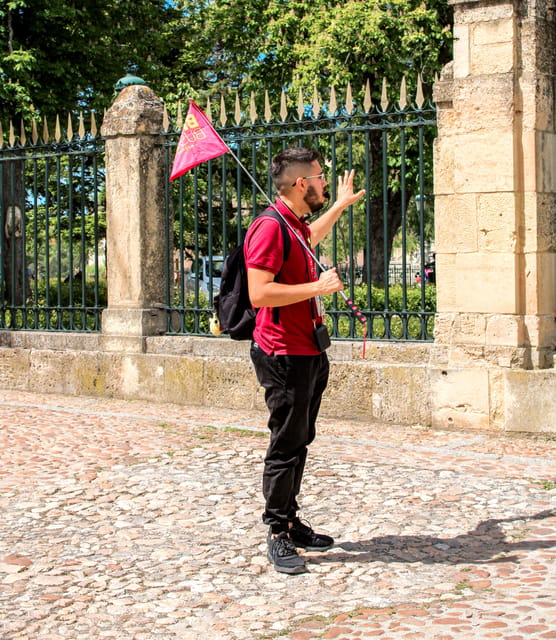 From Madrid: Ávila and Segovia Guided Day Trip - The Roman aqueduct makes the first impression in Segovia