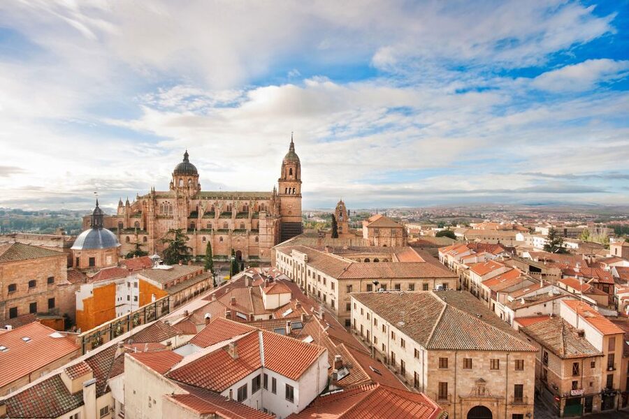 From Madrid: Day Trip to Ávila and Salamanca w/ Guided Tour - What the guides add to the day
