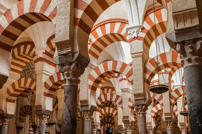 From Madrid: Gems of Andalusia 6-Day Sightseeing Tour - Hotels, meals, and coach travel